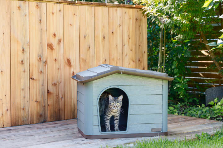 KERBL Katzenhaus Paola Eco